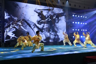 2017年上海市学生武术秀比赛在我校隆重举行