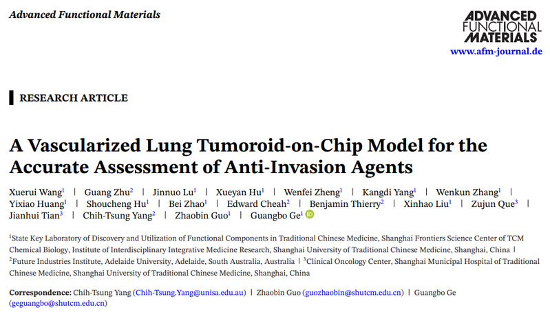 我校交叉科学研究院团队成功研发血管化肺癌类器官芯片