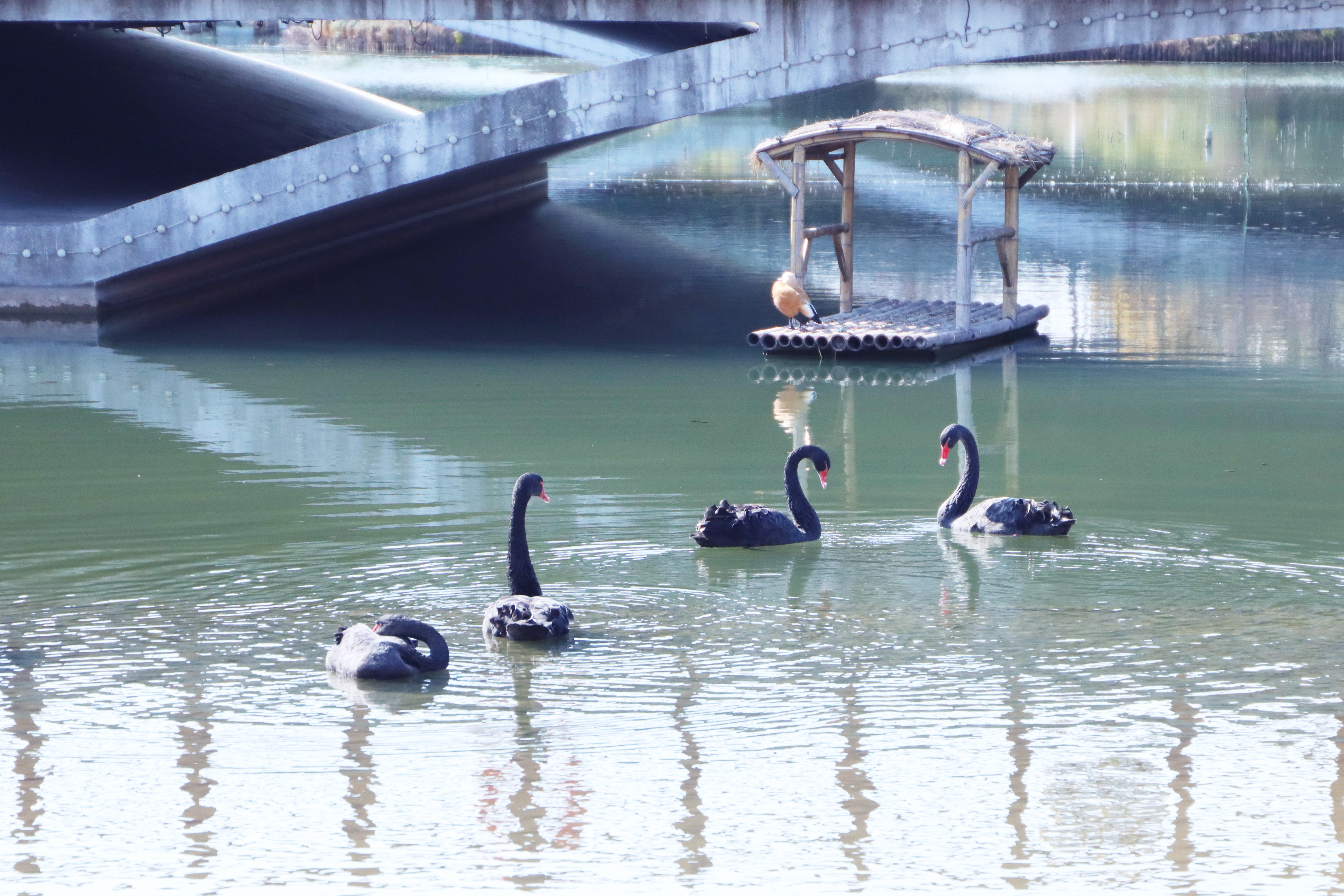 我校护理学院吴静教授夫妇荣获“上海市教育系统第十五届比翼双飞模范佳侣”称号