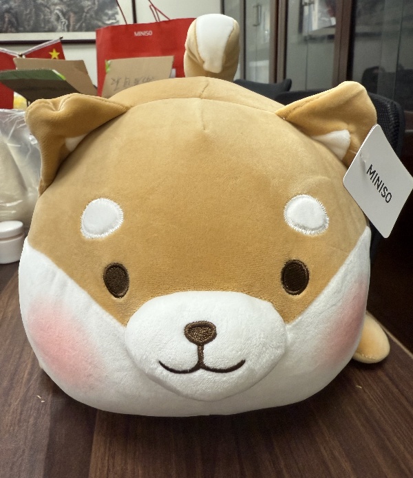 <a href='//www.orghanon.com/bwc/2024/1129/c2163a163706/page.htm' target='_blank' title='玩偶一件'>玩偶一件</a>