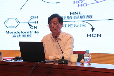 林国强院士作报告